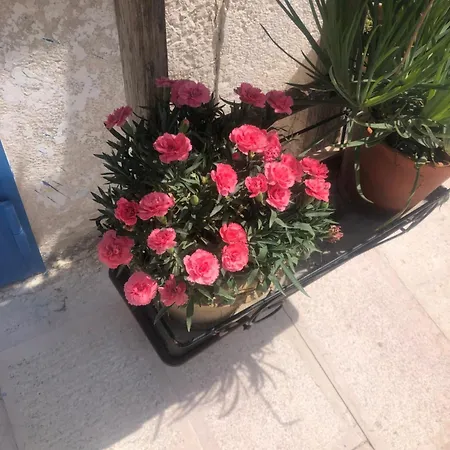 Casa vacanze Nostos *